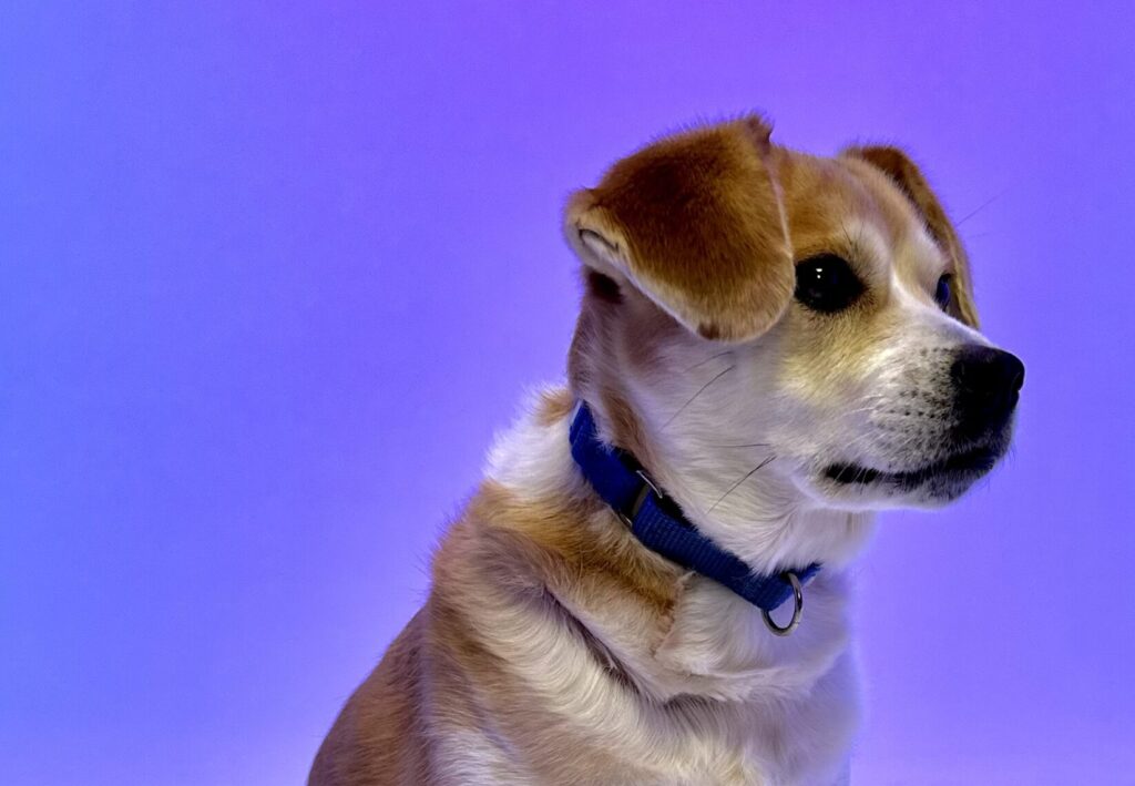 IMG 7041 scaled e1706983248443