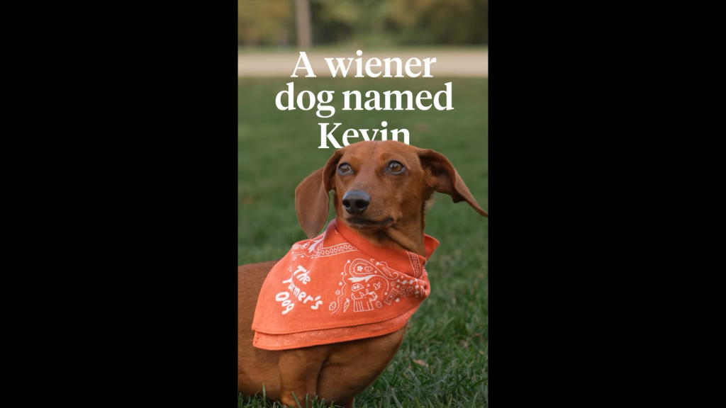 Kevin Wide For farmers dog